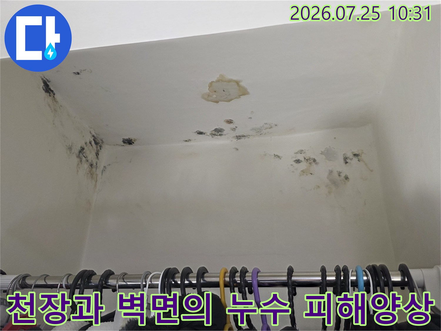 누수로-인해-벗겨진-천장지-조각과-벽면에-형성된-검은색-곰팡이-자국