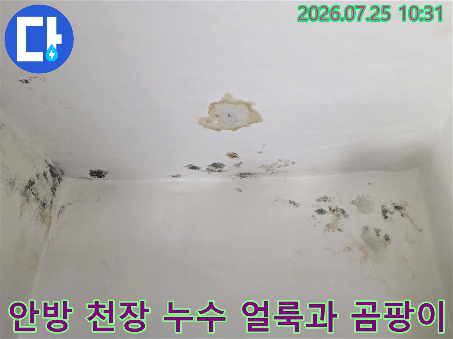 흰색 벽지 천장에 갈색 누수 얼룩과 검은색 곰팡이가 퍼져 있는 모습
