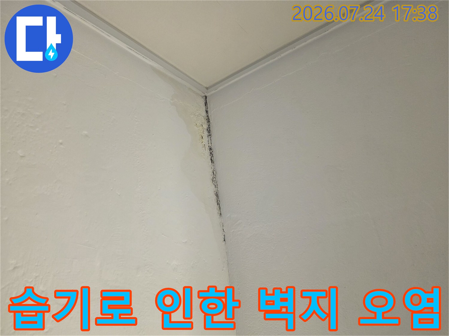물자국과 곰팡이가 발생한 실내 벽면 구석