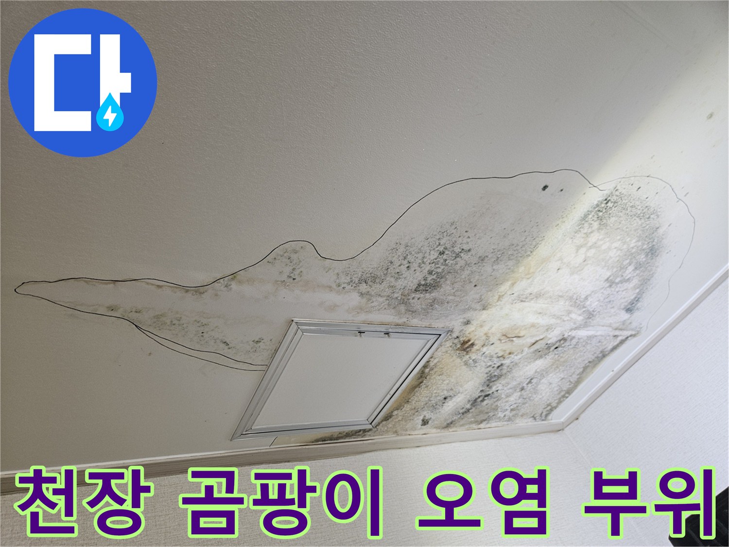 넓게 퍼진 곰팡이와 물에 젖은 천장 마감재