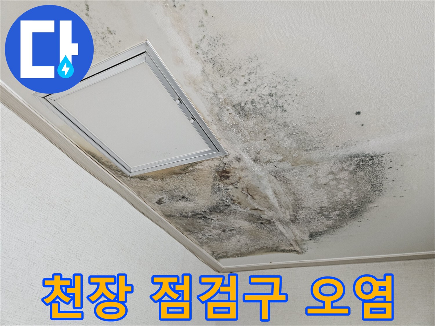 누수가 의심되는 주방 천장의 점검구와 주변부 곰팡이 오염