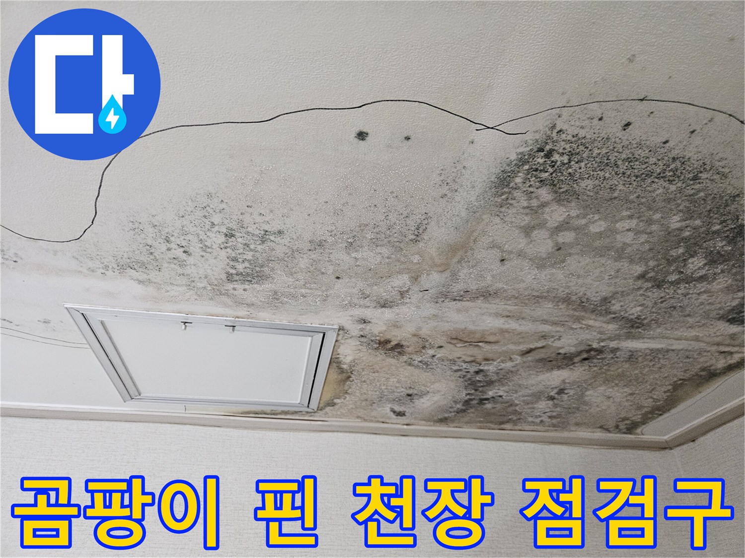 누수로 인해 검게 변한 주방 천장 마감재와 오염 부위