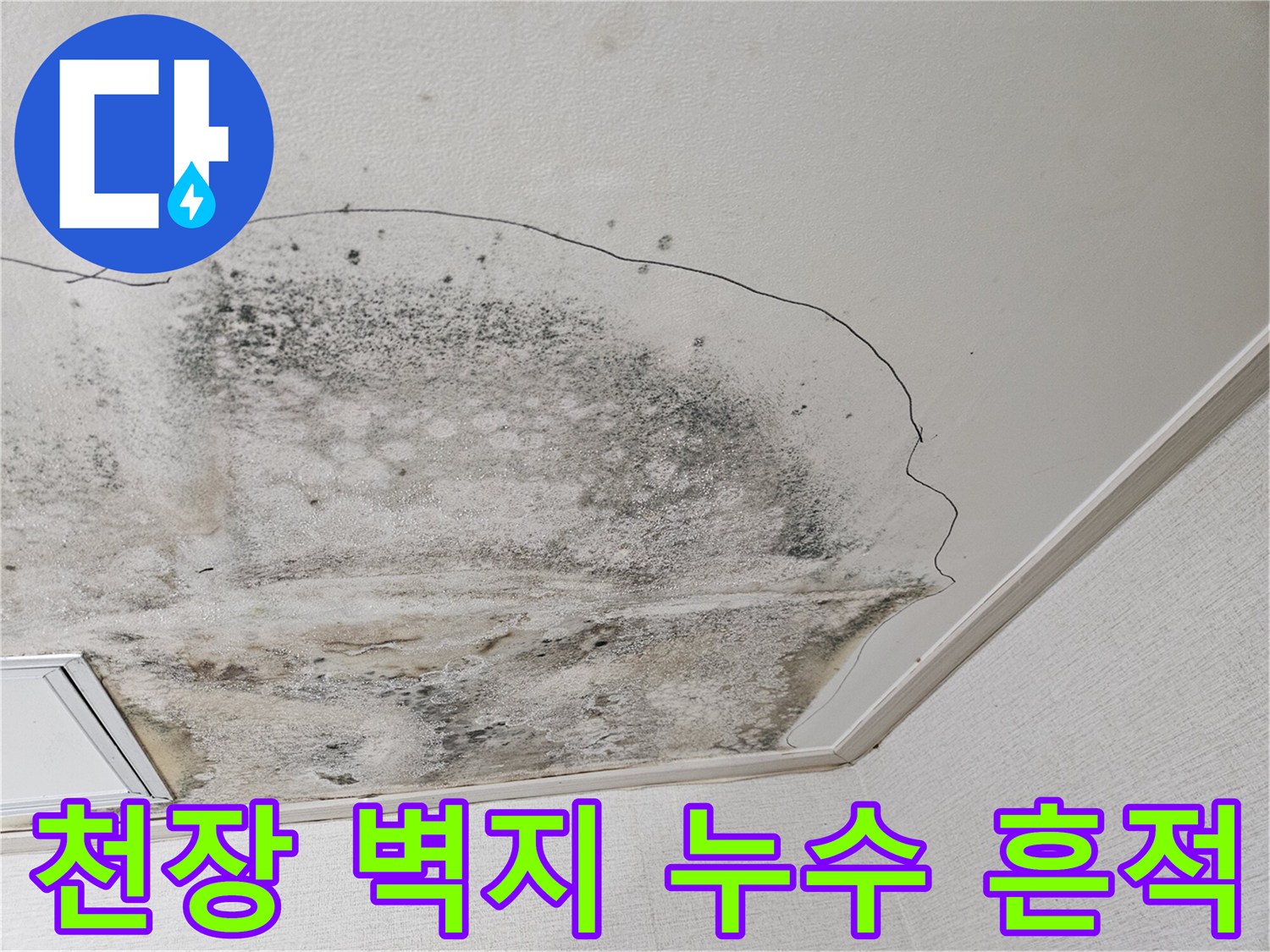 물샘으로 인해 변색되고 곰팡이가 피어오른 천장 벽지 부위