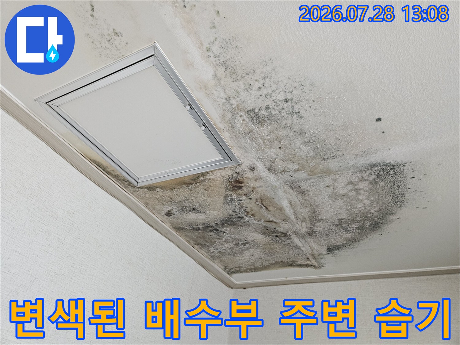 슬래브를 타고 번진 누수 흔적과 곰팡이 오염 상태