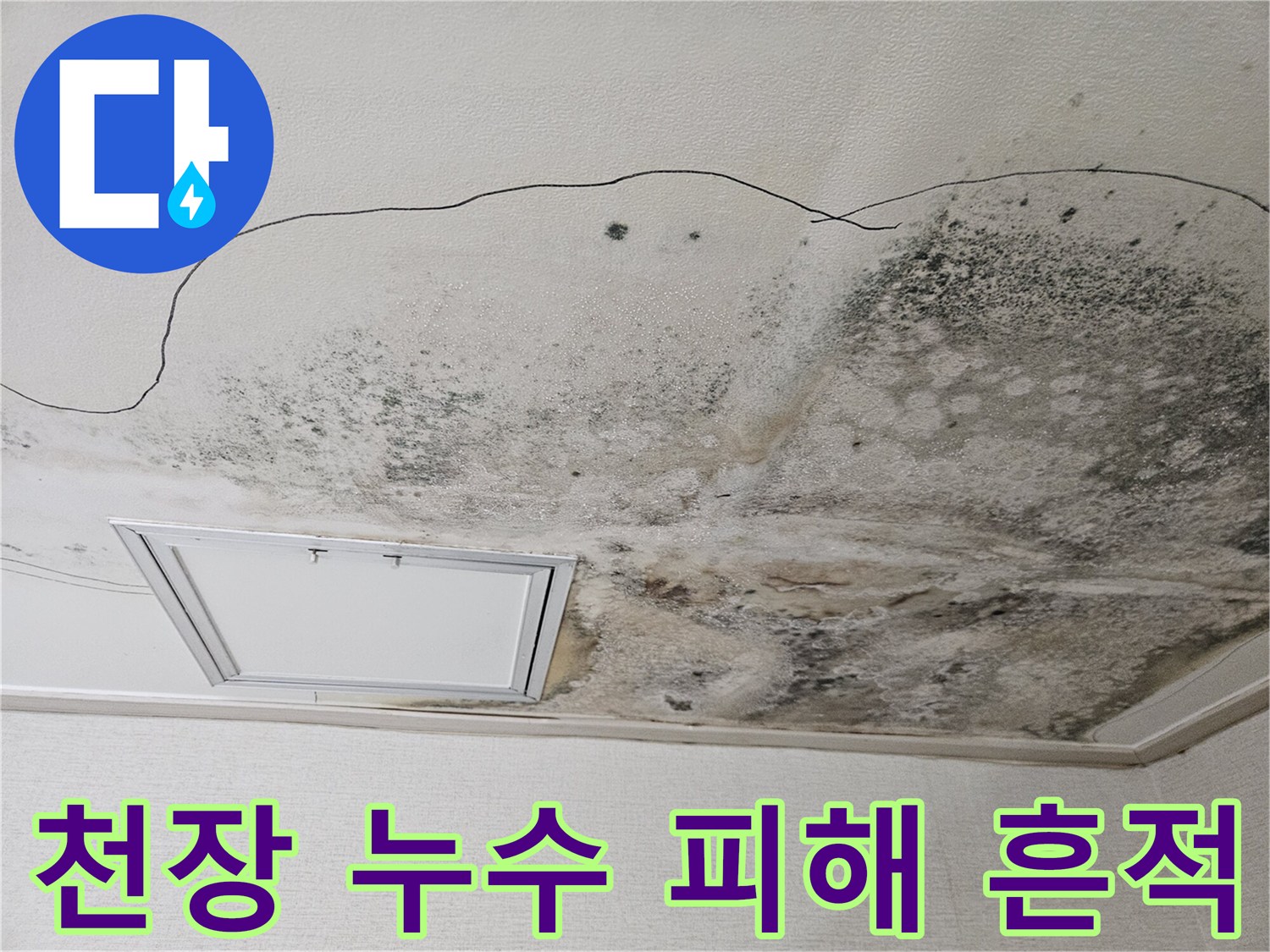 습기로 인해 검게 변한 주방 천장 마감재와 곰팡이 현상