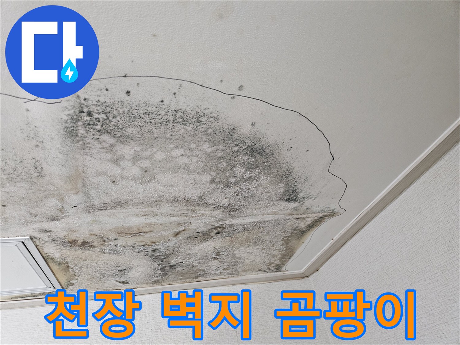 오염된 주방 천장 - 물샘으로 인해 검게 변색된 천장 마감 부위