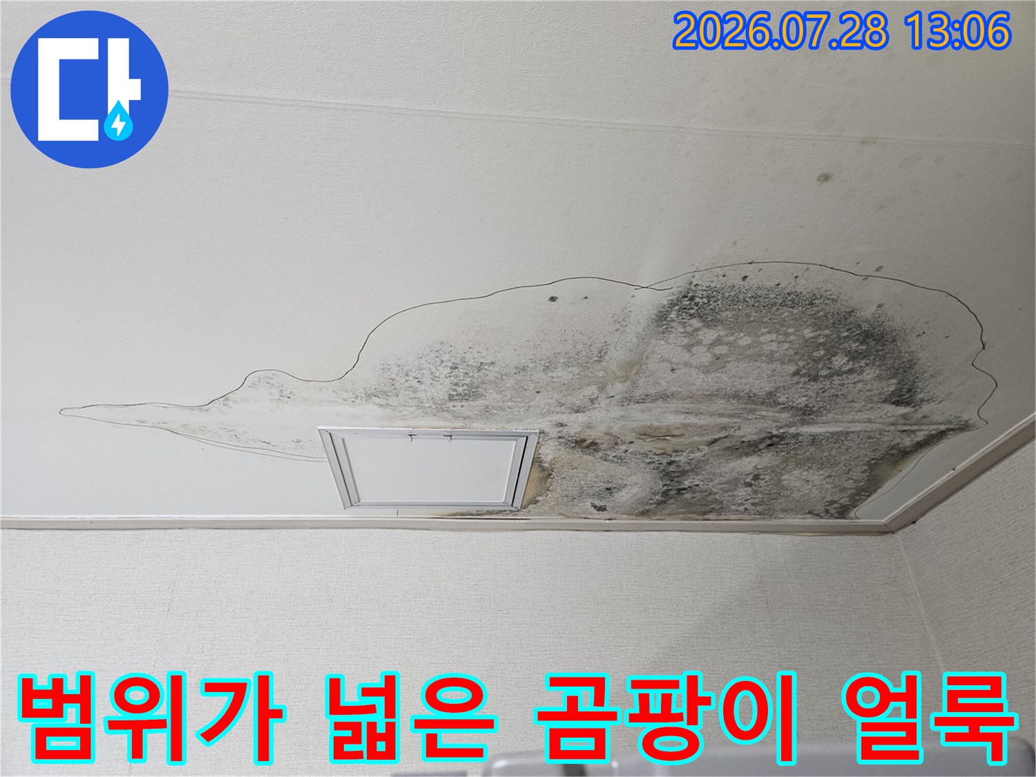 주방 천장 배수구 주변으로 번져나간 대규모 누수 흔적과 곰팡이