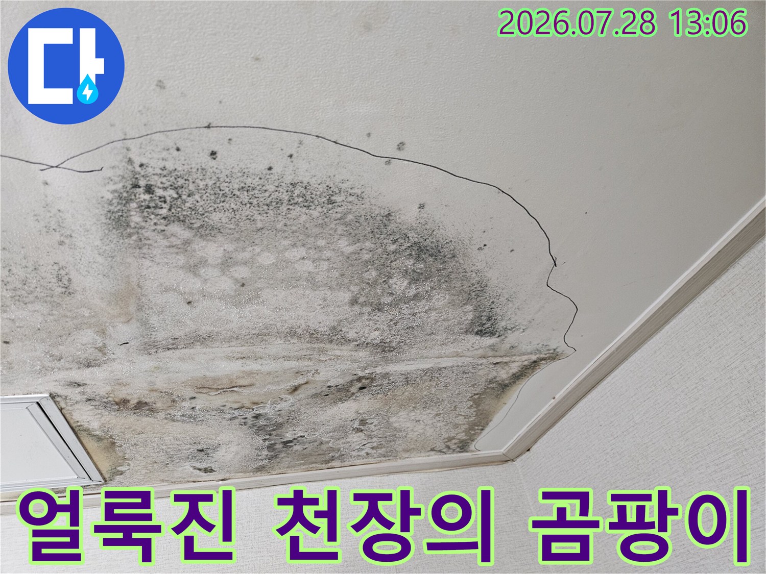 지속적인 누수로 인해 변색과 곰팡이가 발생한 주방 천장 모습
