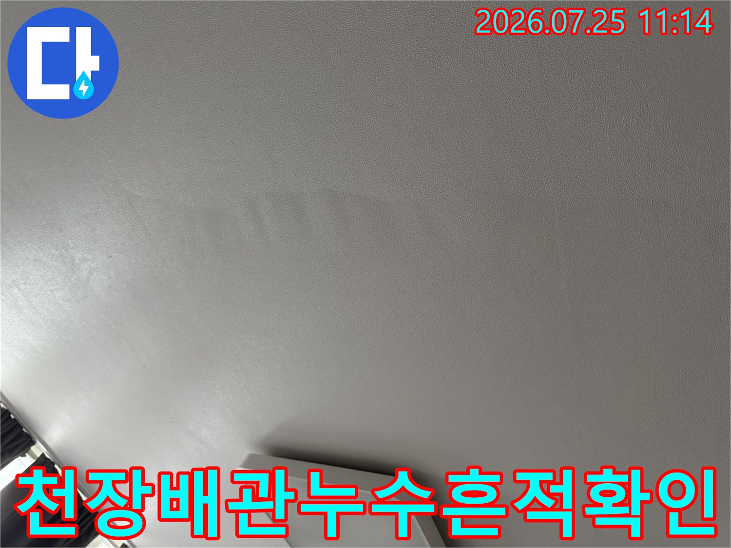 거실 천장 마감재에 남은 물자국과 변색을 정밀 점검하는 모습