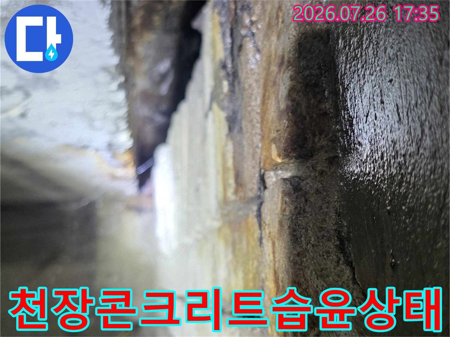 누수로 인해 물기가 고여 있고 표면이 오염된 천장 내부 구조물-사진