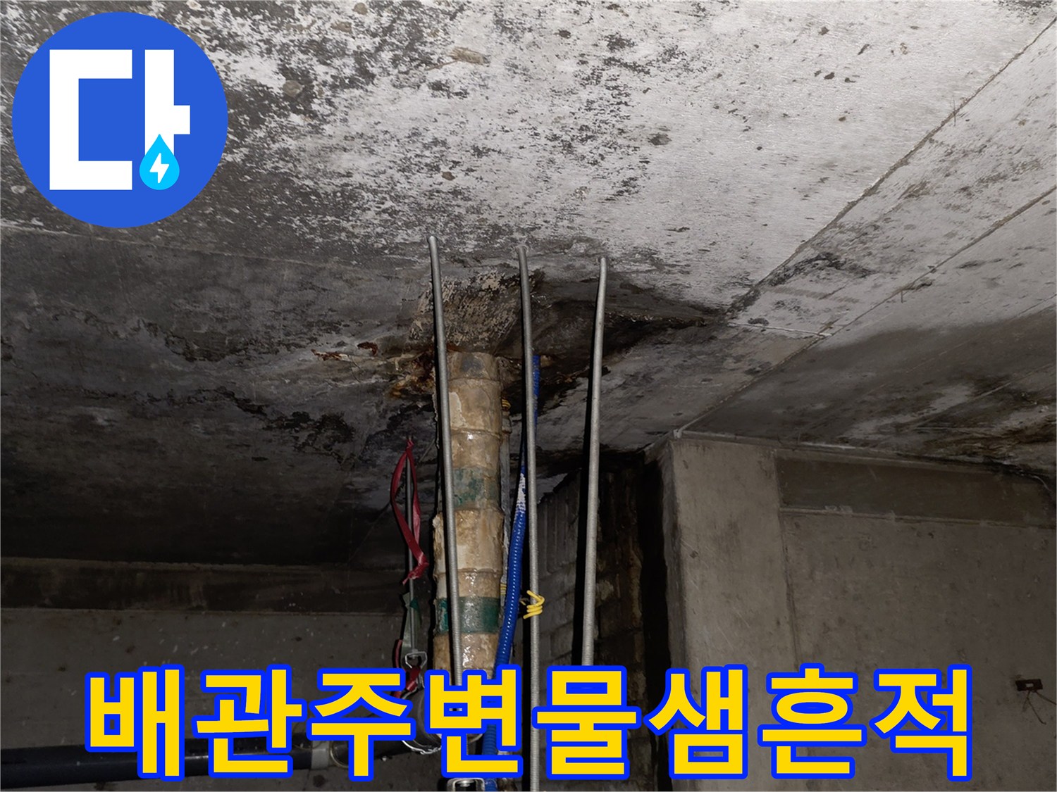 천장 배관 주변의 젖은 콘크리트와 오염된 표면 모습