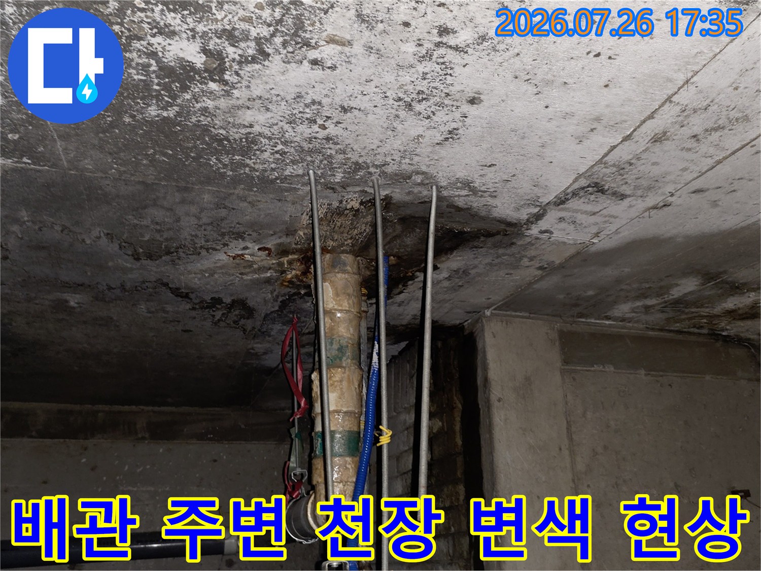천장 콘크리트 층의 배관 관통 부위가 물에 젖어 어둡게 변한 모습-누수 진단 사진