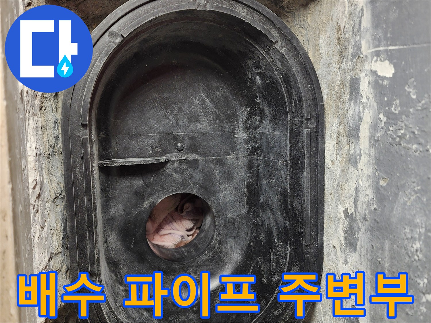 유가 제거 후 노출된 배관-방수 결함 부위 관찰