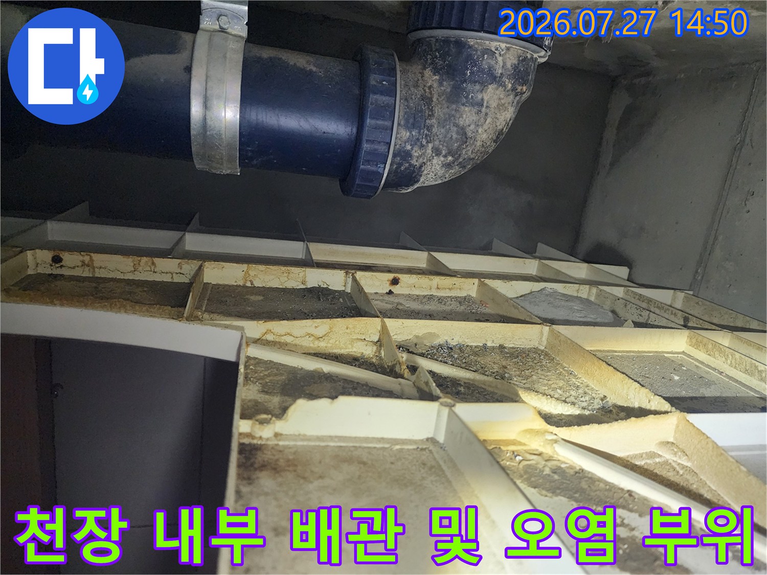 물때와 곰팡이가 섞인 천장 지지 구조물 아래로 지나가는 파란색 하수도 배관