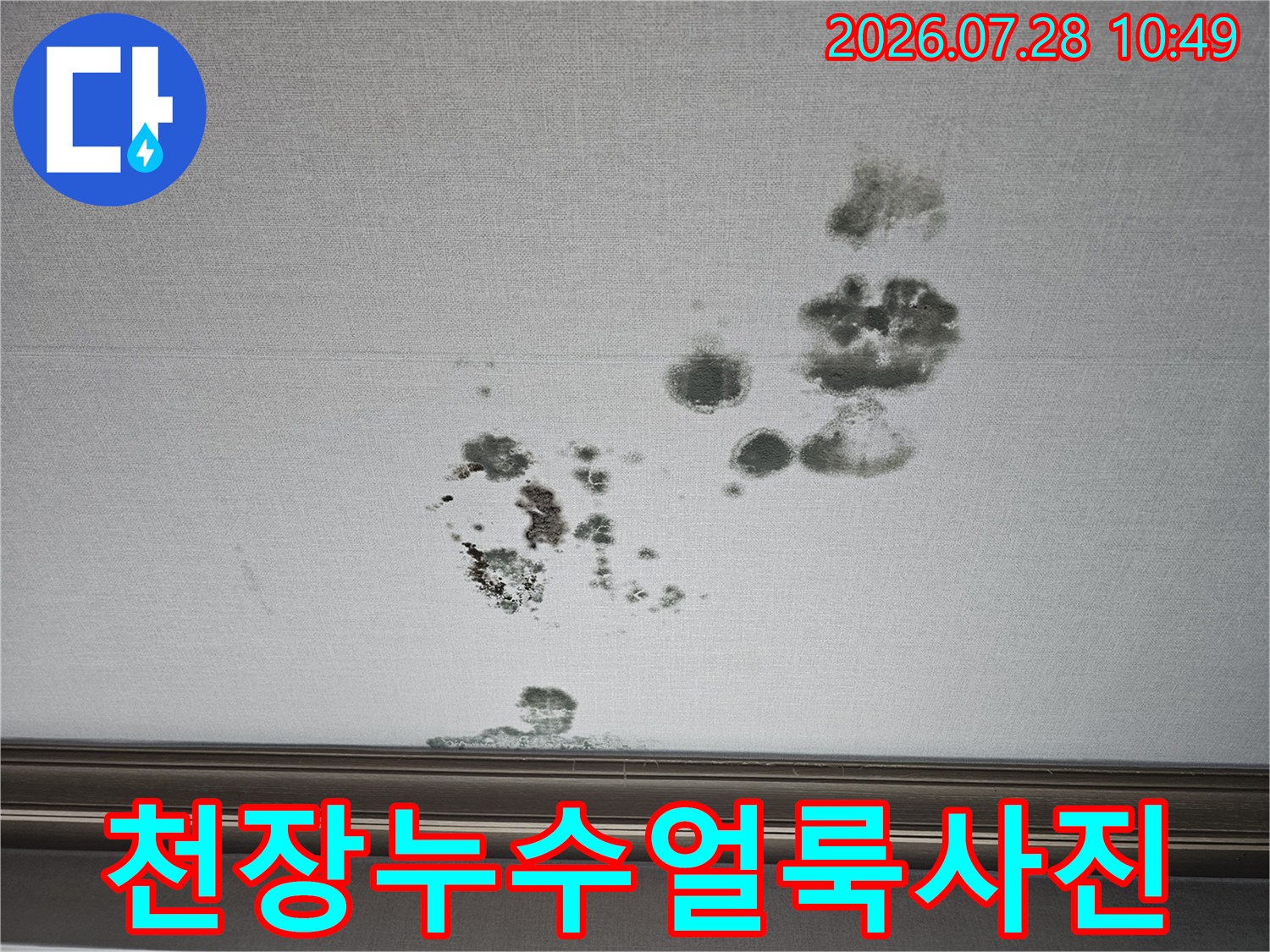 거실 내부 천장에 나타난 짙은 얼룩과 곰팡이 흔적들