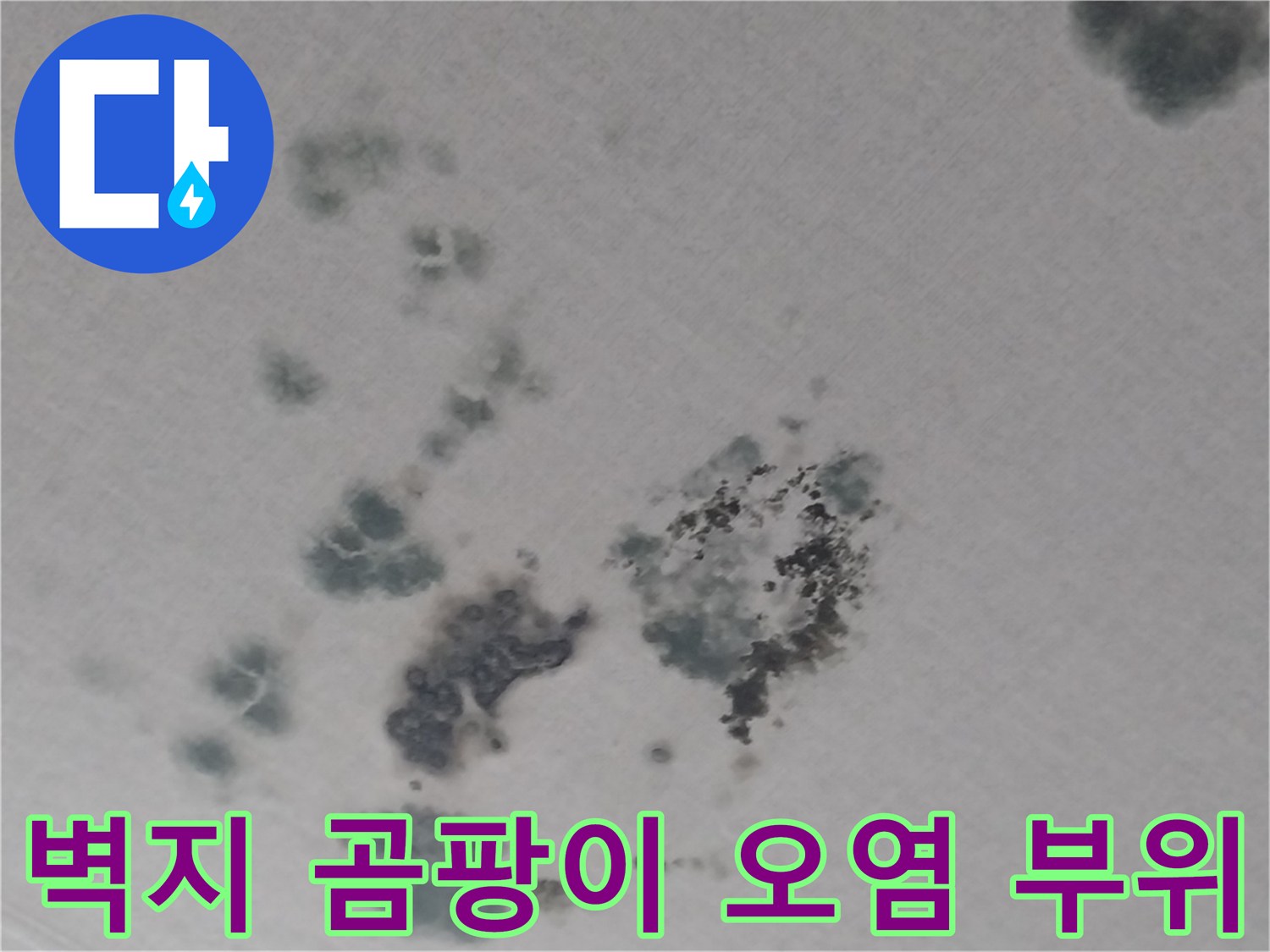 거실 천장 벽면-물젖음과 함께 나타난 곰팡이 번식 상태