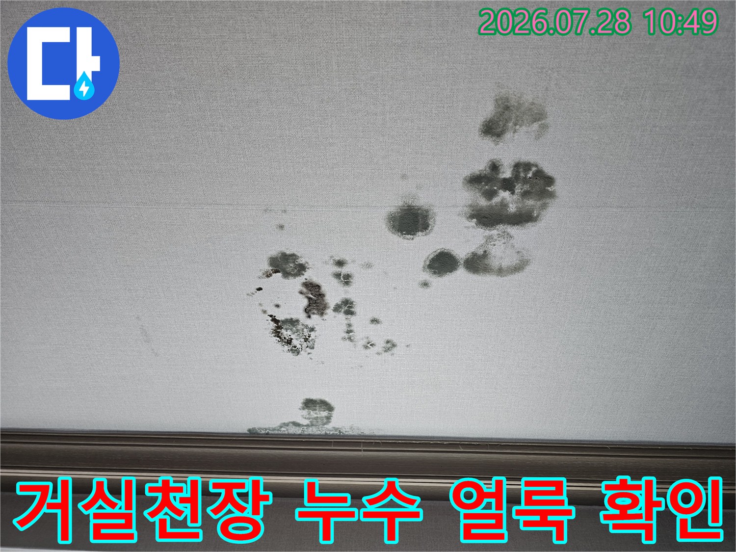 거실 천장의 배수구 근처에 발생한 짙은 색상의 물샘 흔적과 얼룩