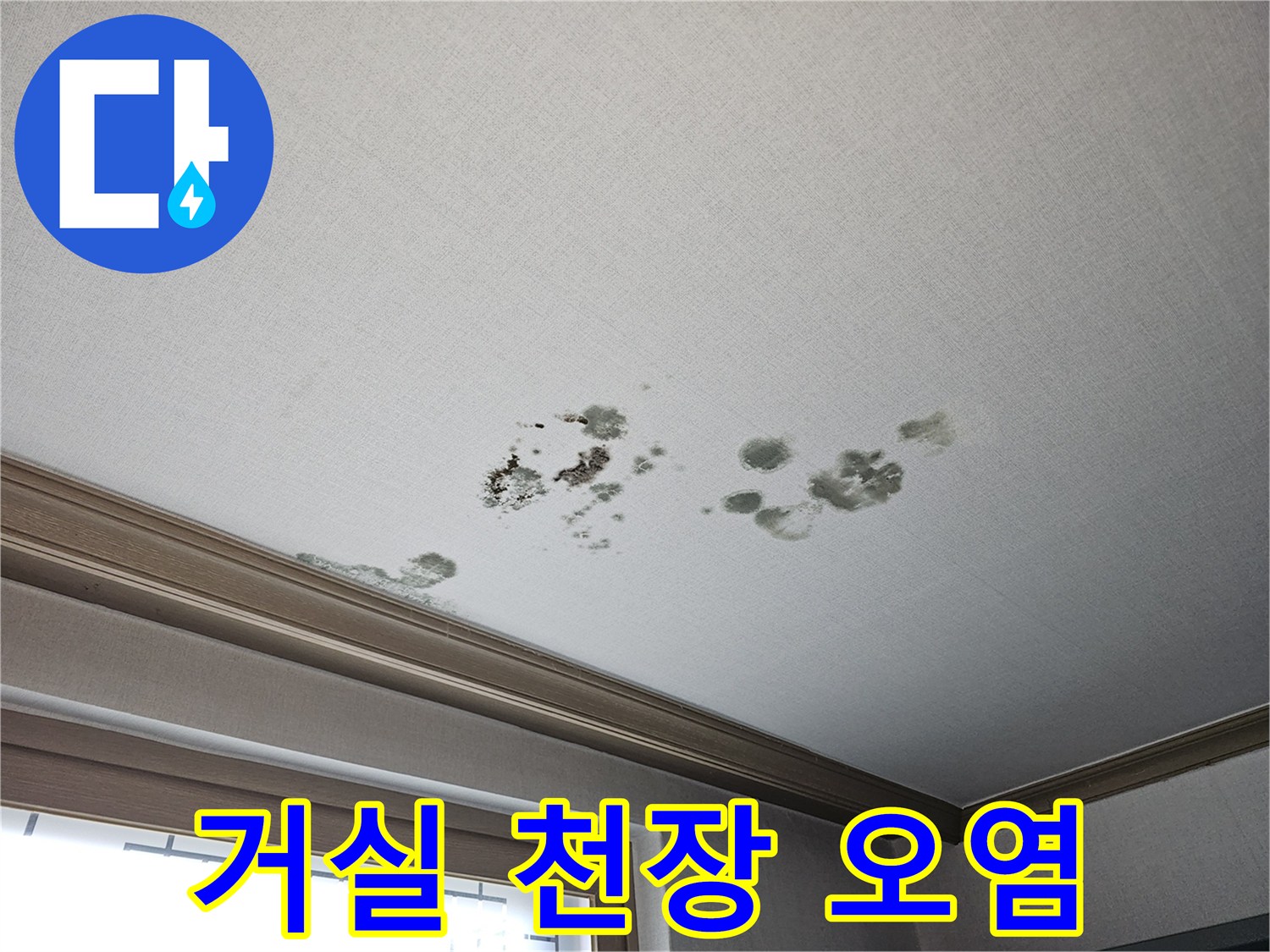 동탄 상가주택 거실 천장의 물젖음과 곰팡이 흔적