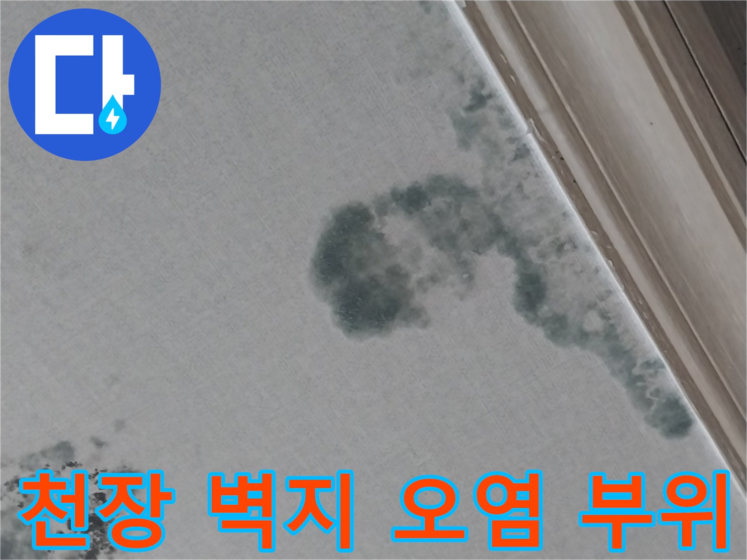 동탄 현장 거실 천장 벽면의 짙은 곰팡이와 수분 침투 흔적