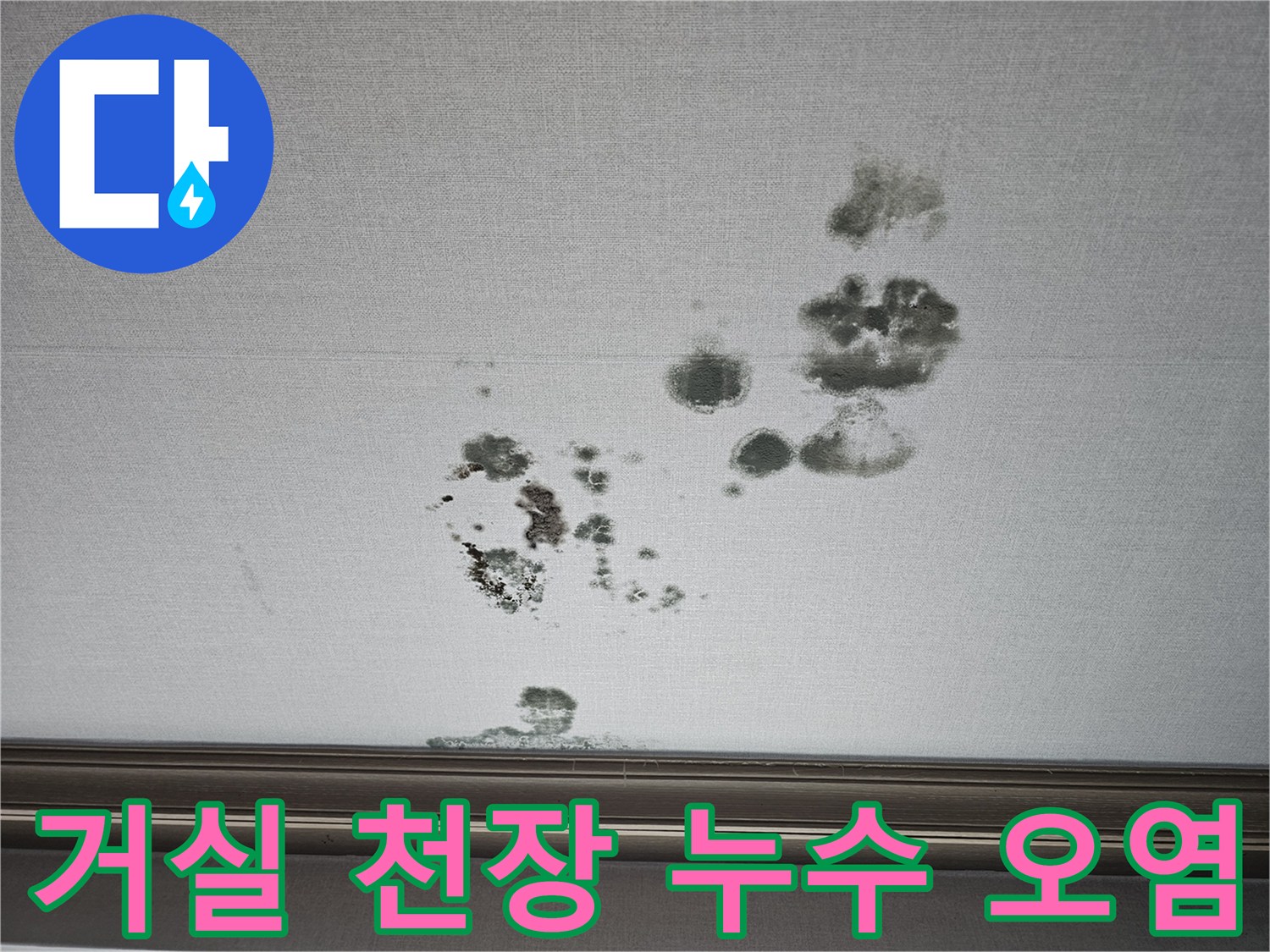 상가주택 거실-천장 벽지에 나타난 심한 곰팡이와 물자국