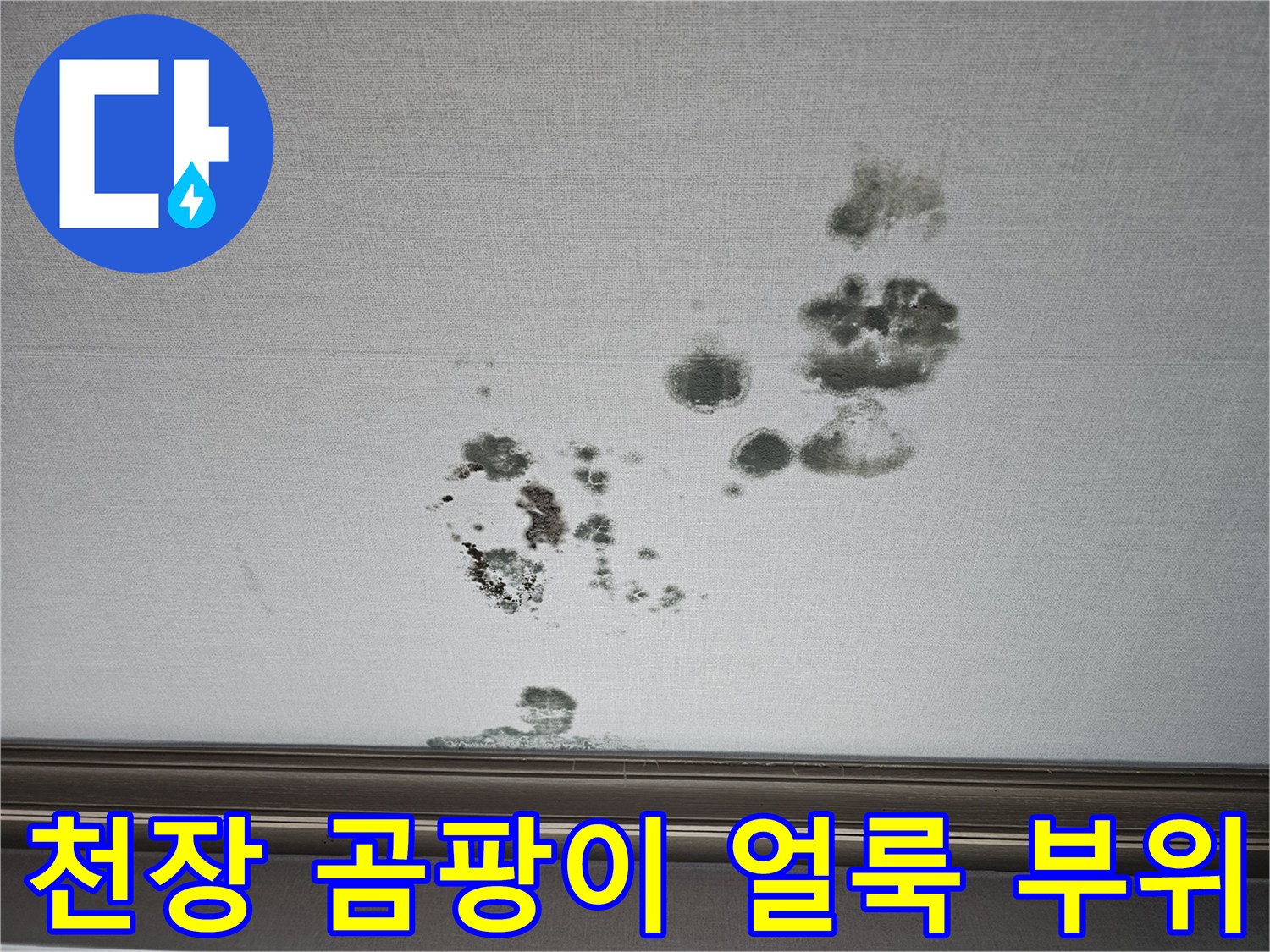 습기로 인해 변색되고 곰팡이가 피어오른 천장 마감재 상태