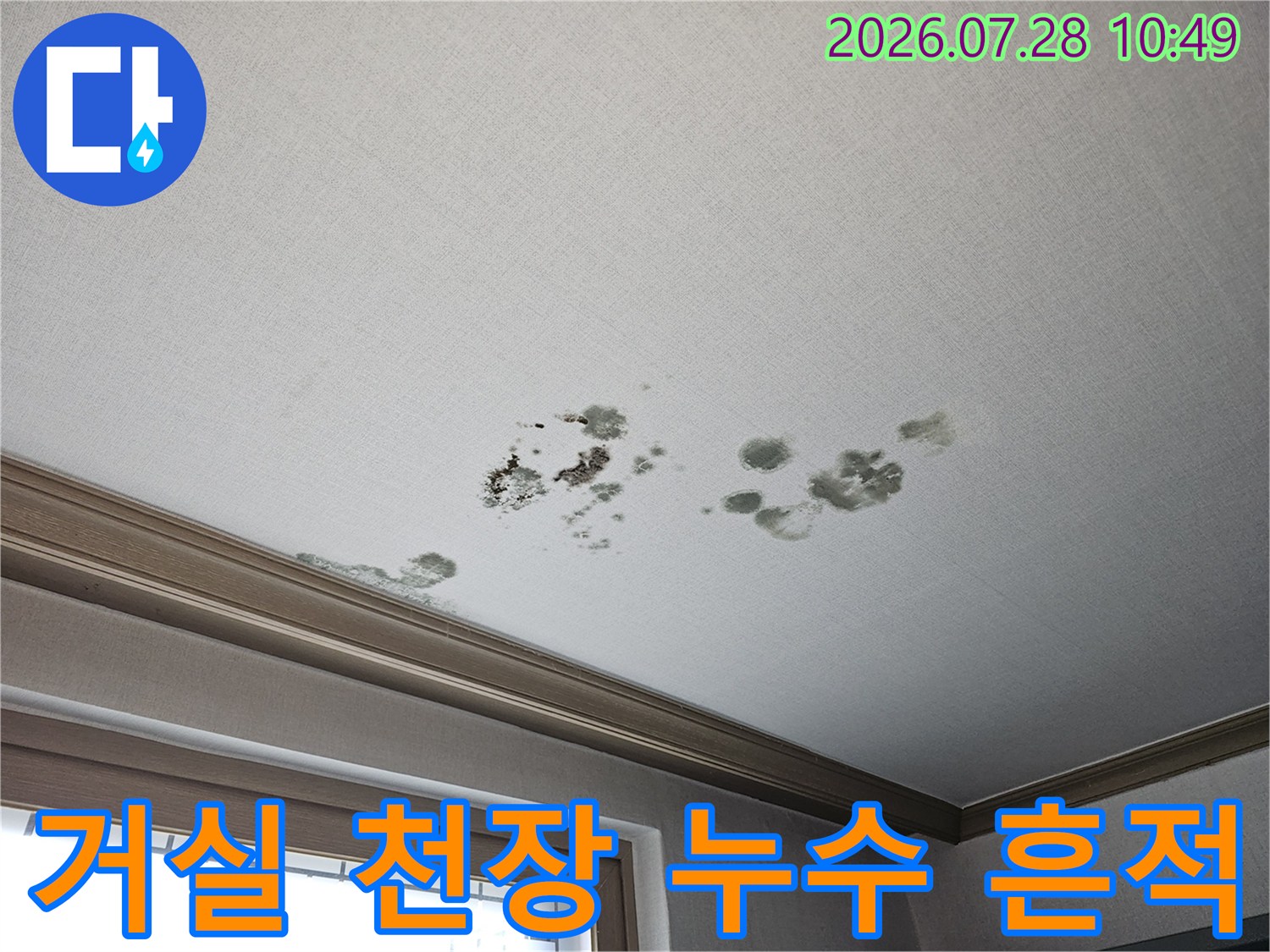 흰색 벽지의 거실 천장에 발생한 검은색 곰팡이와 물자국 얼룩