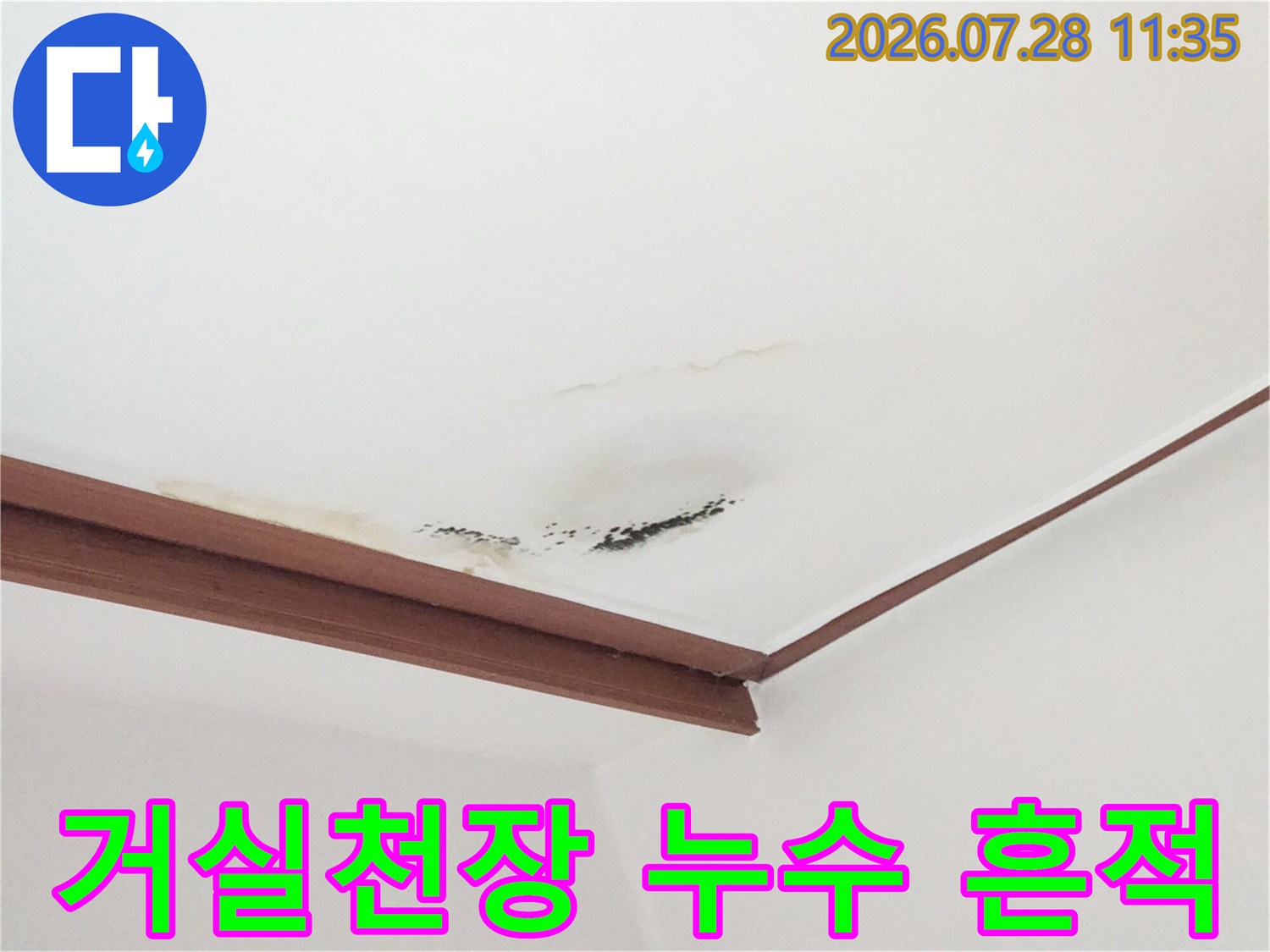 거실 천장 몰딩 부근의 곰팡이와 물자국 현장 사진