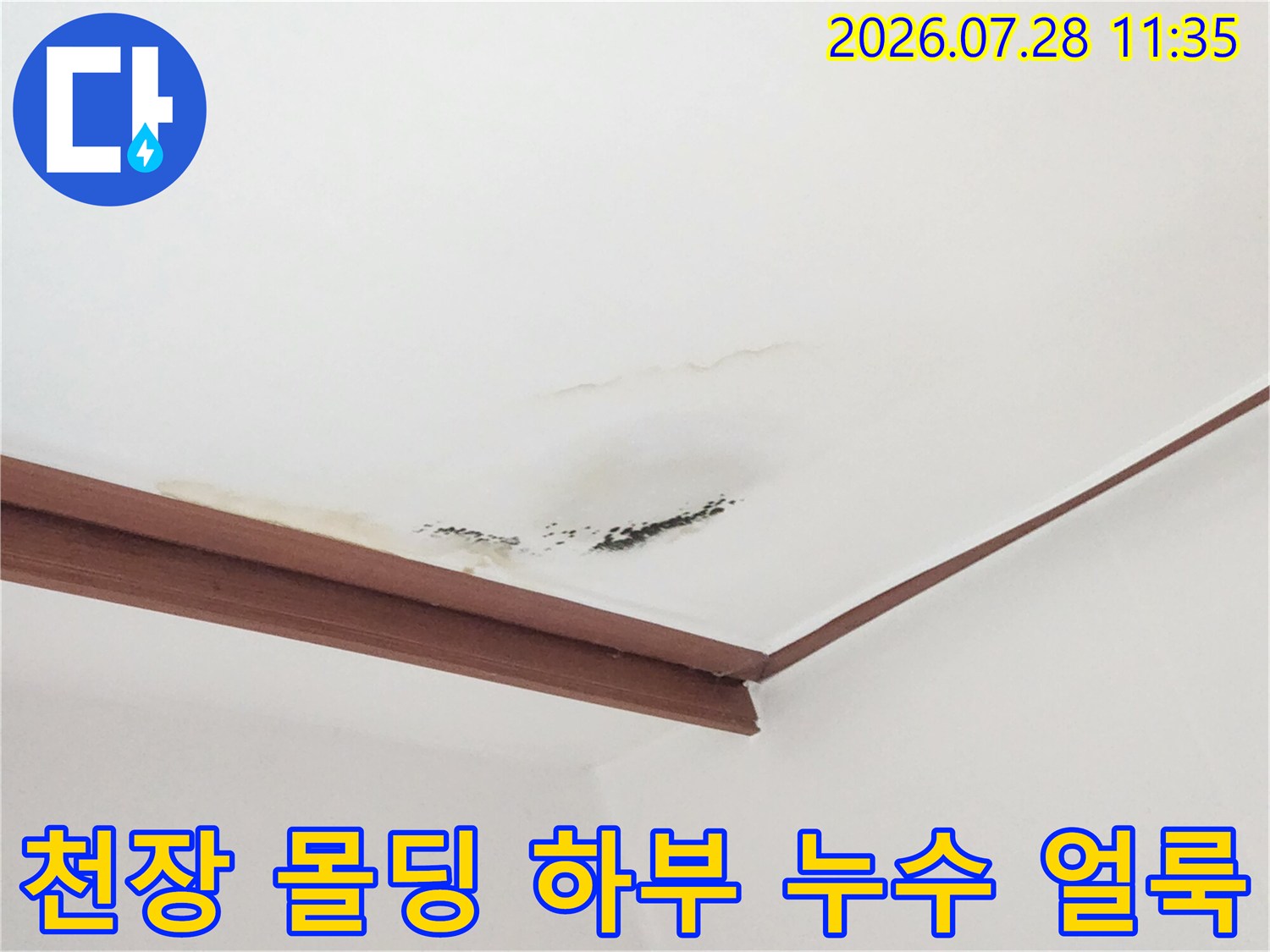 거실 천장의 마감 처리가 된 부위에 발생한 물자국 및 변색