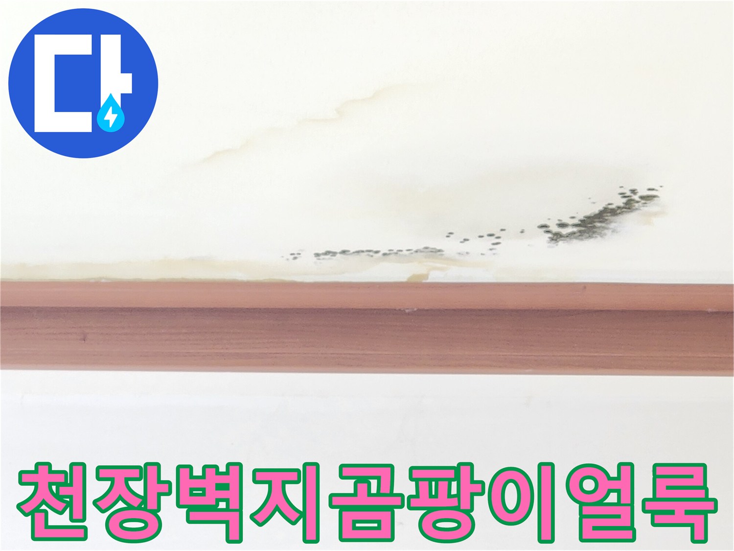 누수-피해로-발생한-천장의-물자국과-곰팡이 부위