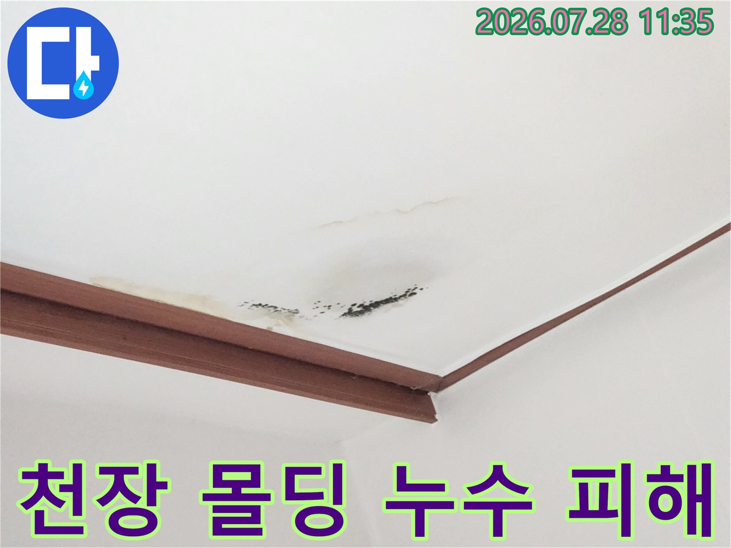 모서리 부분에 발생한 곰팡이와 수분 침투 흔적 사진