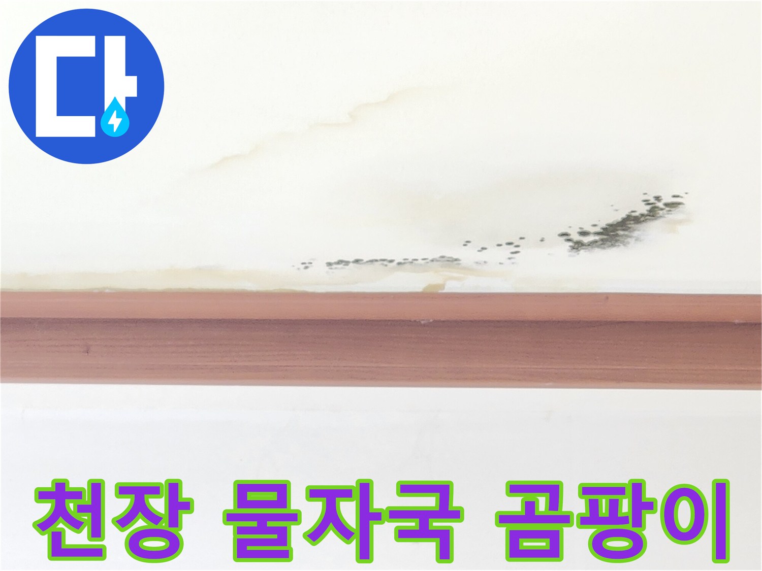 천장 벽면에 번져있는 누런 물 얼룩과 검은색 곰팡이 부위