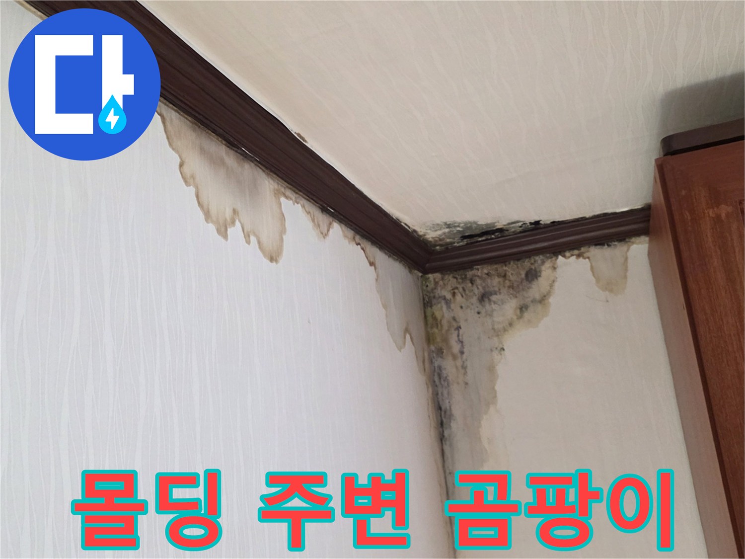 천장-과-벽면-경계의-누수-및-곰팡이-흔적