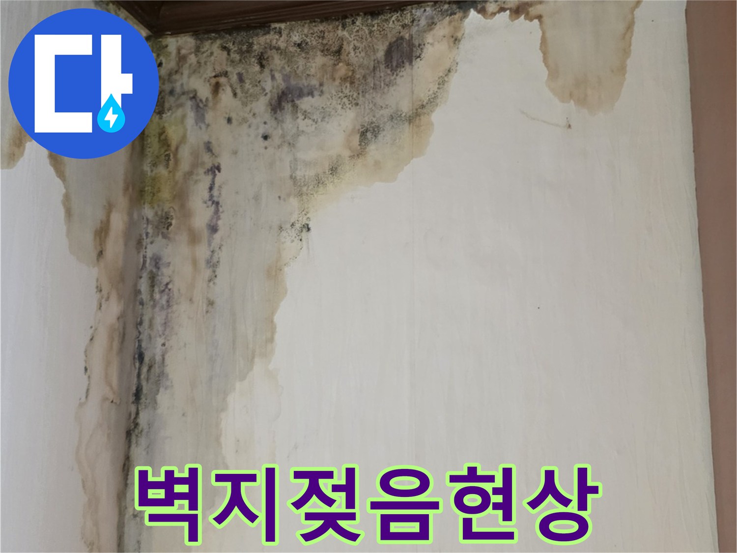 천장과 벽면이 만나는 지점-물자국과 함께 발생한 곰팡이 침투 흔적