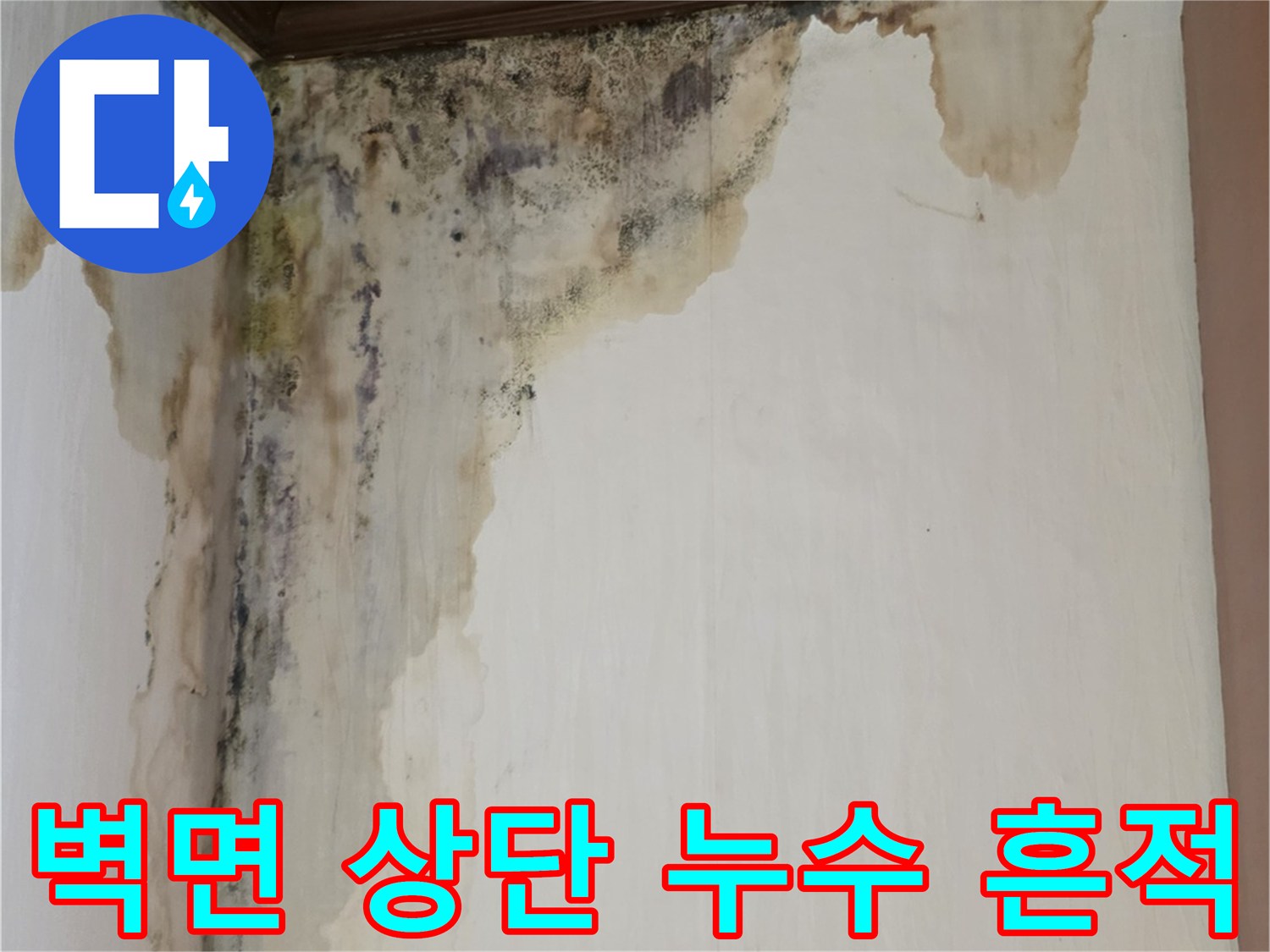 천장과 벽이 만나는 지점에 발생한 물자국과 곰팡이