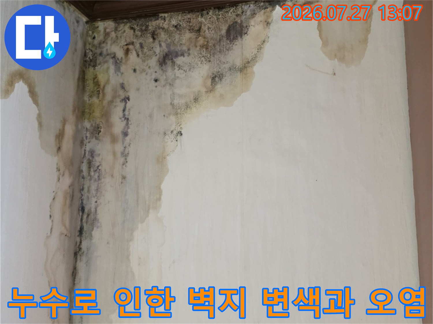천장에서 벽면으로 이어진 누수 자국-곰팡이와 습기로 인해 부식된 마감재
