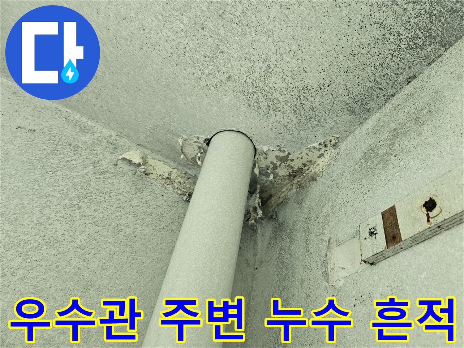 안산 단원구 아파트 - 우수관 주변 마감재 탈락 및 변색 상태