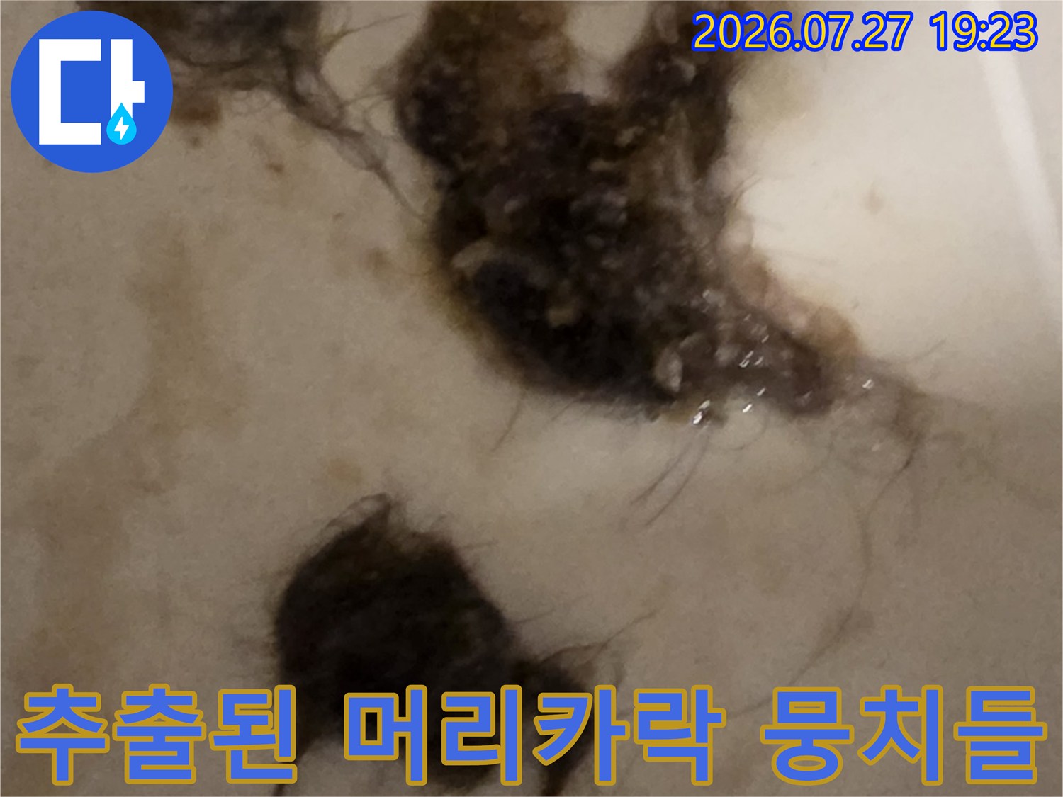 배관 내부에서 샤프트 장비로 끌어올린-검은색 머리카락과 오물 덩어리 사진