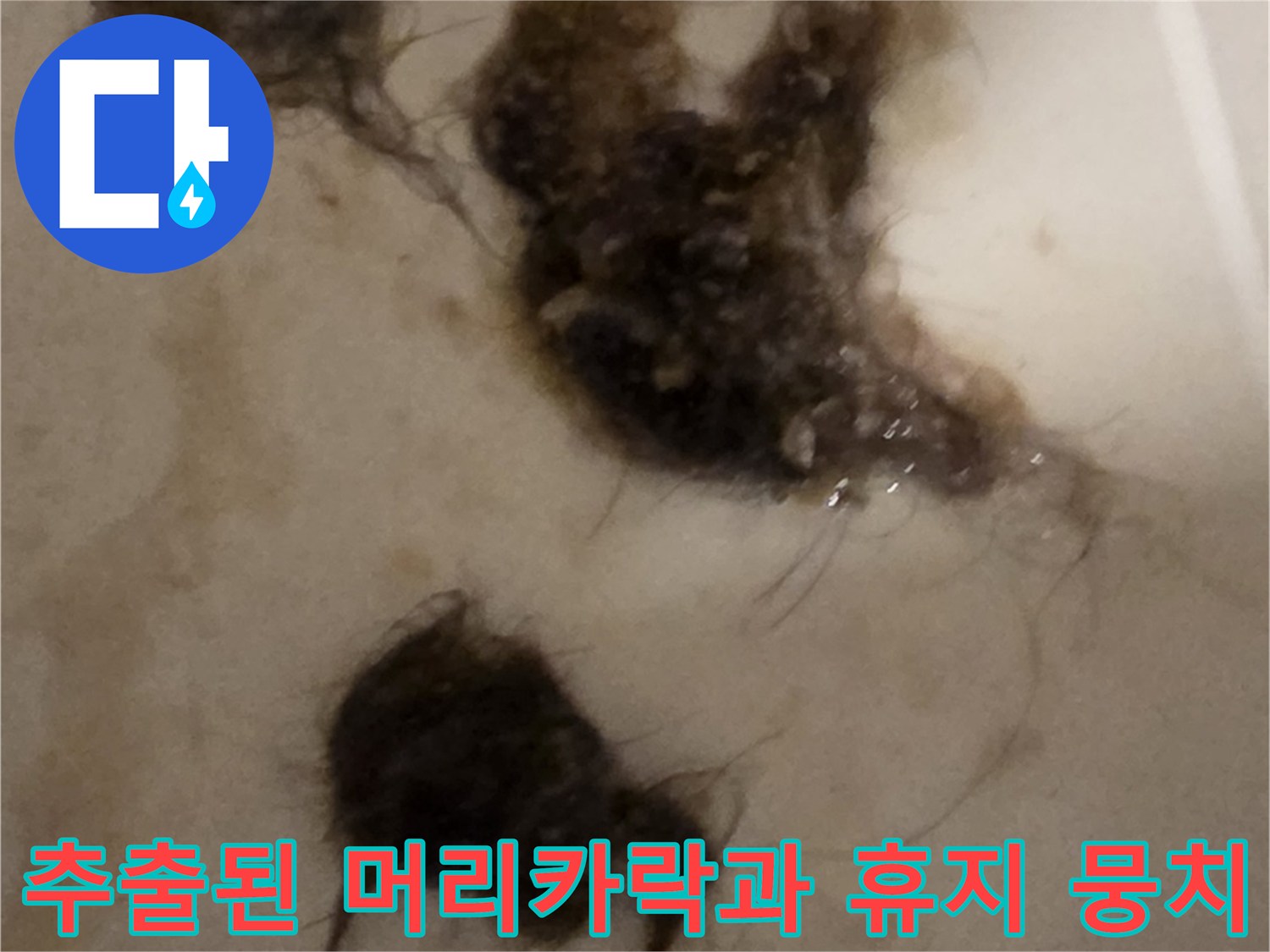 배관-스케일링-후-나온-머리카락-및-오물-덩어리