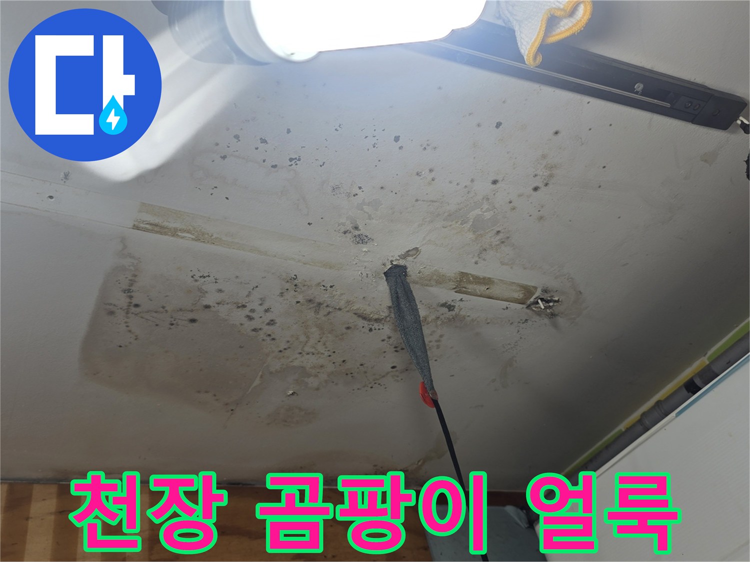 천장 마감재에 발생한 곰팡이와 물샘 흔적