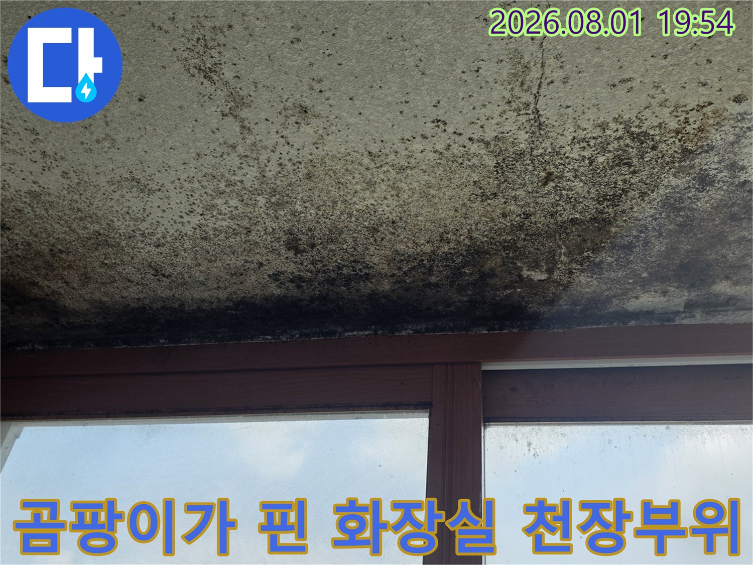 누수로 인한 오염과 곰팡이로 변색된 화장실 천장의 클로즈업 사진
