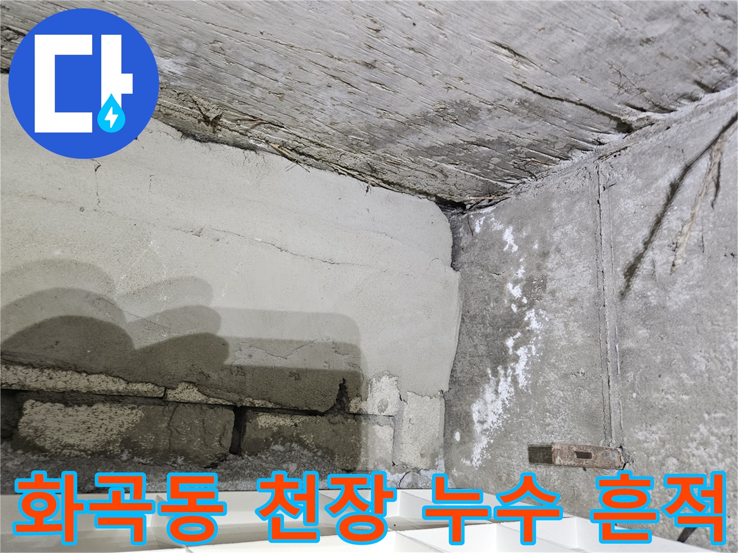 강서구 화곡동-아파트 천장 벽면의 습기 및 곰팡이 발생 상태