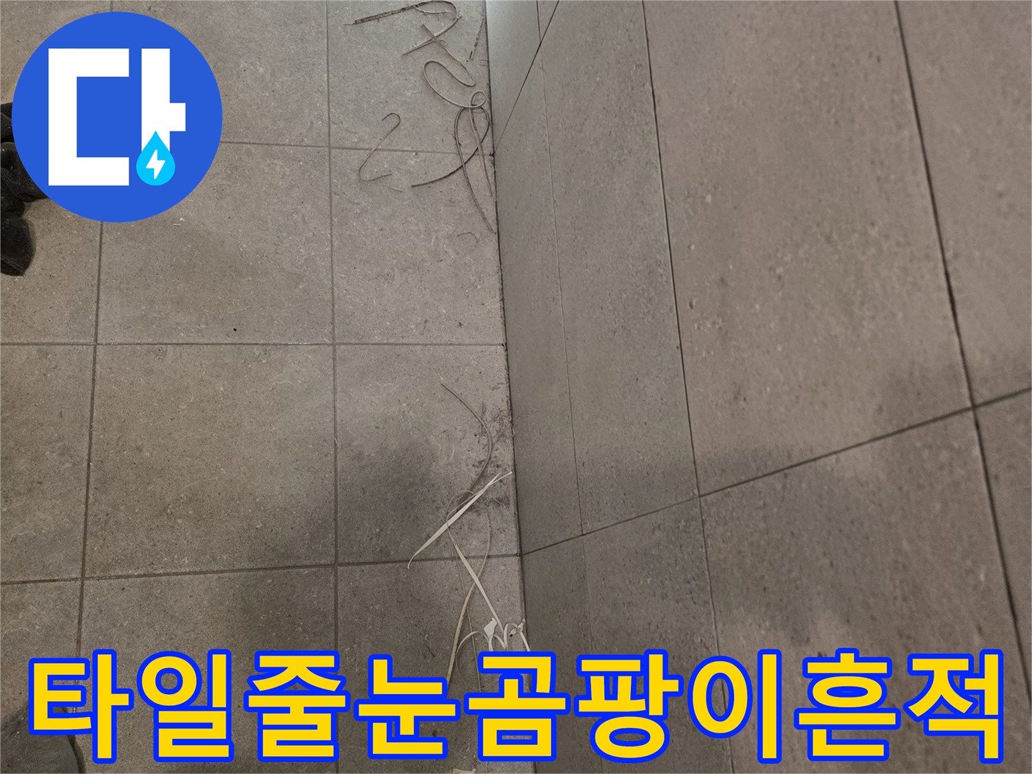 욕실-벽면-타일-사이의-곰팡이와-습기-발생-부위