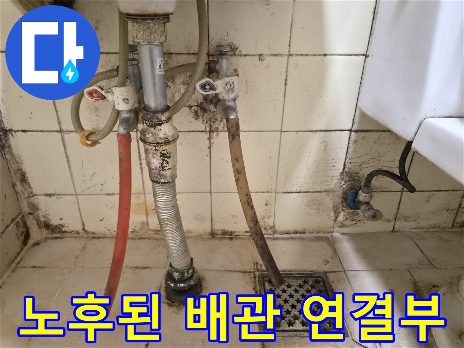 곰팡이가 핀 화장실 벽면과 노후된 수도 호스
