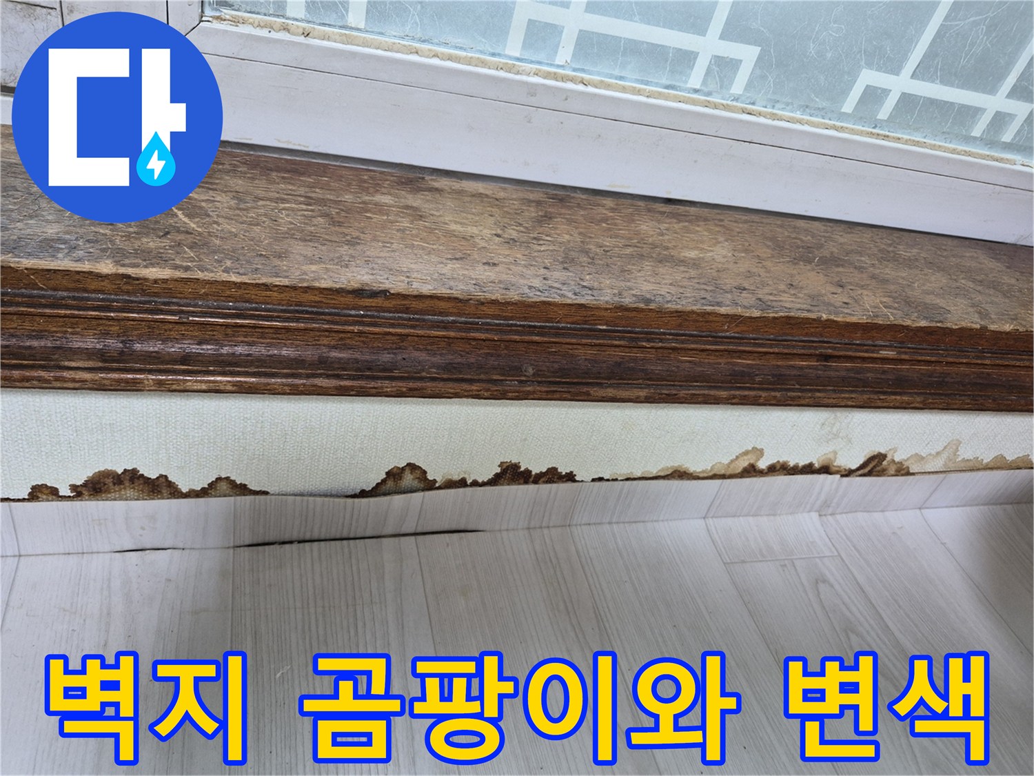창틀 하단 몰딩 부근의 곰팡이 발생 및 벽지 손상 상태