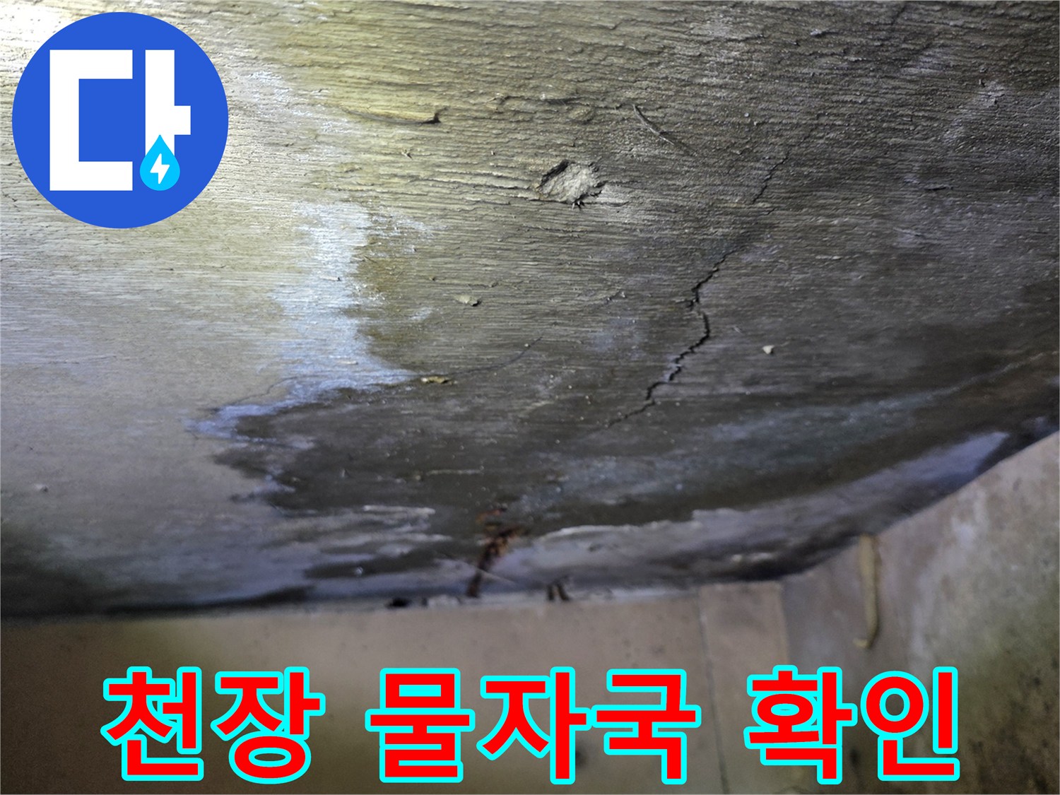 물에 젖어 어둡게 변한 천장 콘크리트 표면