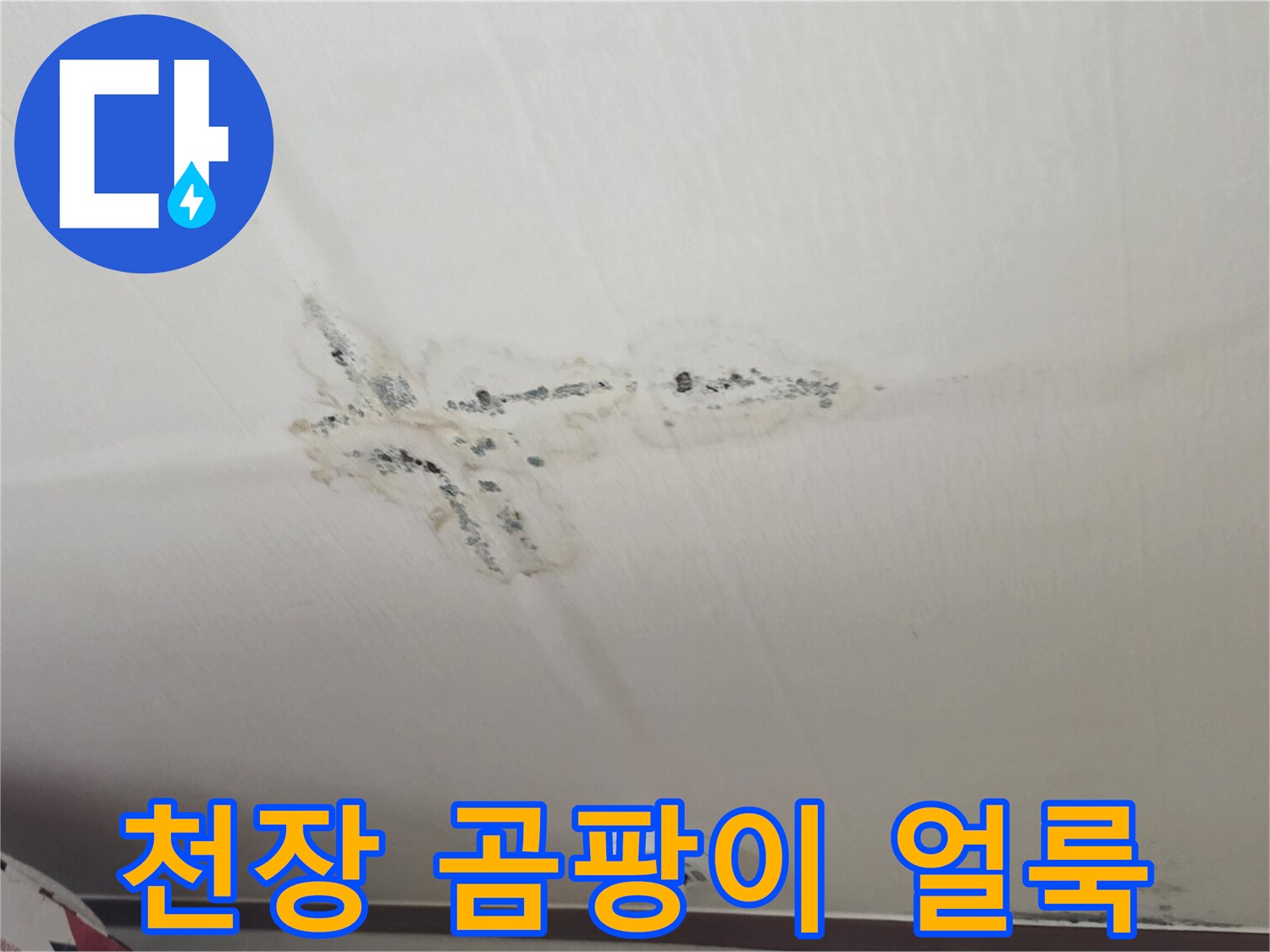 분당 구미동 원룸 천장에 발생한 검은 곰팡이와 물자국