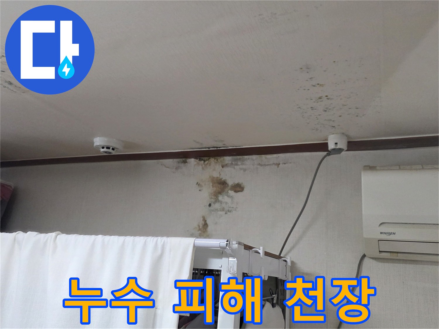 오염된 천장 벽지의 누수 흔적과 젖은 상태