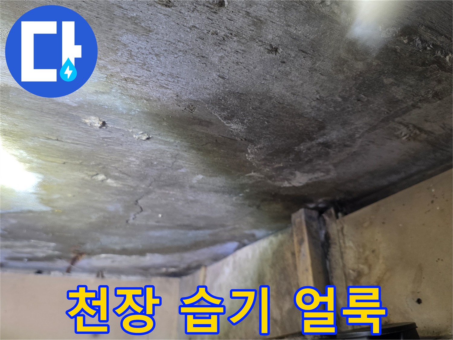 원룸 천장 내부의 물샘 흔적과 곰팡이 발생 상태를 보여주는 사진입니다.