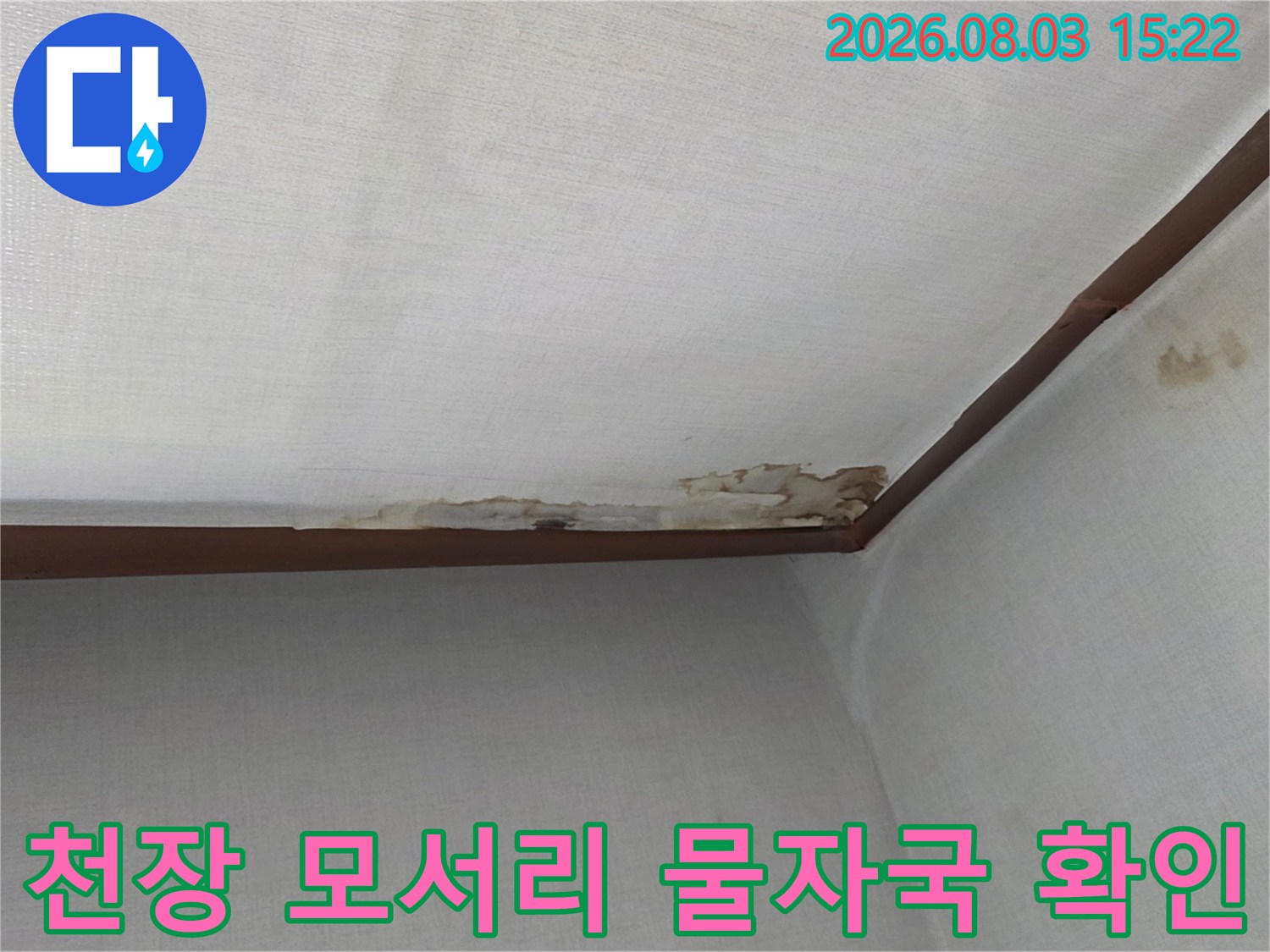 천장과 벽의 굴곡진 부분에 발생한 누수의 결과물인 얼룩들