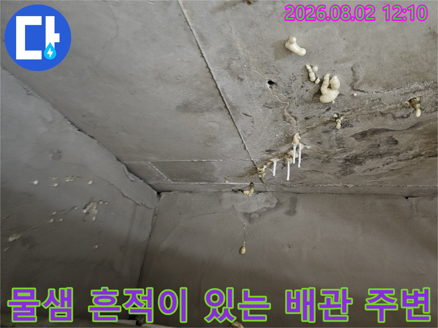 배관 연결 부위의 누수로 인해 오염된 천장 콘크리트와 곰팡이